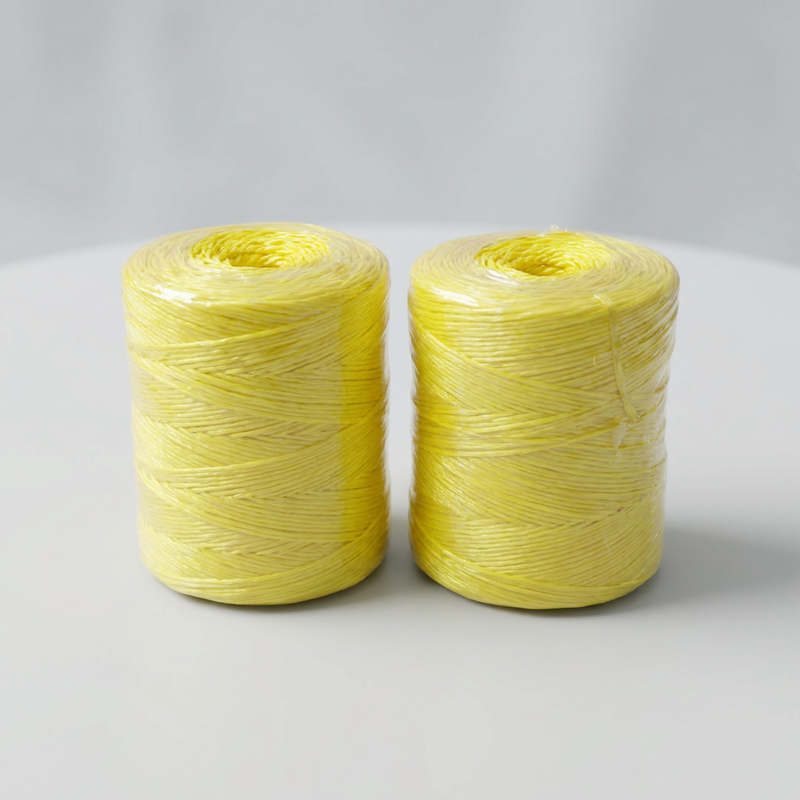 Support heavy banana twine propping to prevent plantain plants breaking or falling down