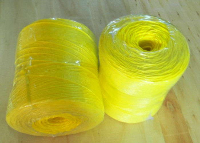 PP String for agriculture tomatoes