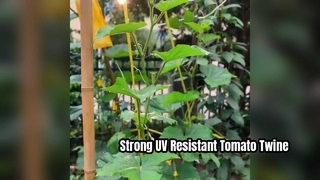 Ficelle pour tomates résistante aux UV pour un soutien solide des plantes