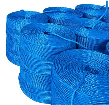 Résistant aux UV haute résistance à la traction PP Baler Twine avec une longueur personnalisable pour une liaison sécurisée des cultures