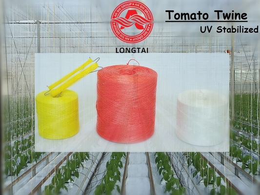 ficelle 1.5mm colorée de polypropylène de 1mm pour la tomate attachant/poly corde de ficelle