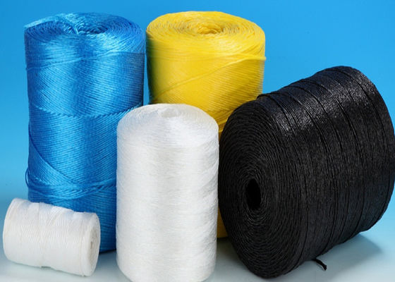 tomate de polypropylène de Vierge de 5kg/Spool 7500D 1200m/kg attachant la ficelle Rffia